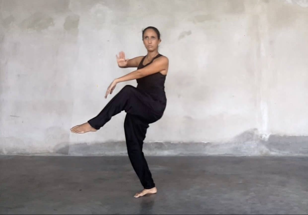 Shiva Nataraja Flow